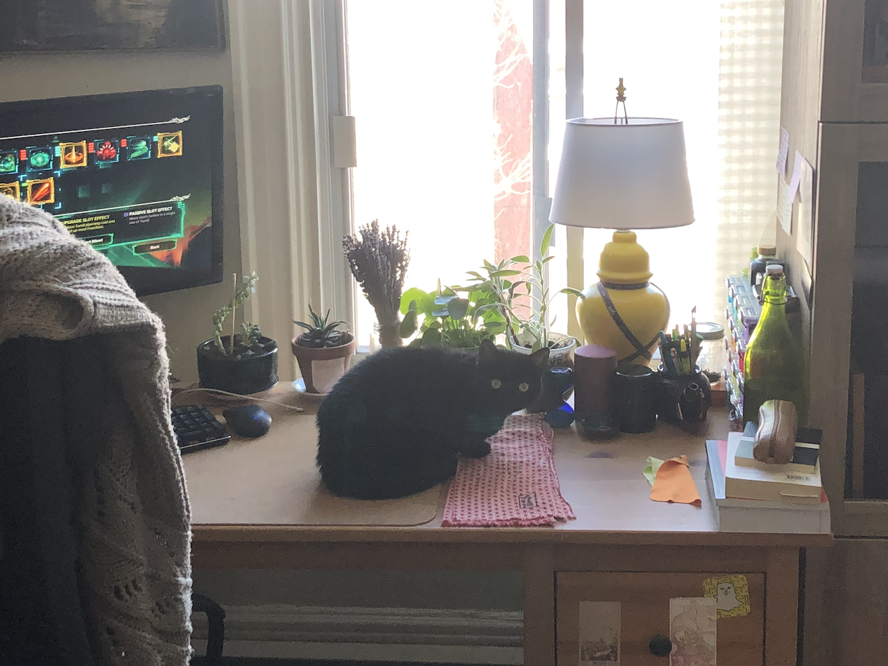 A photo of my black cat Luna sitting on my desk.