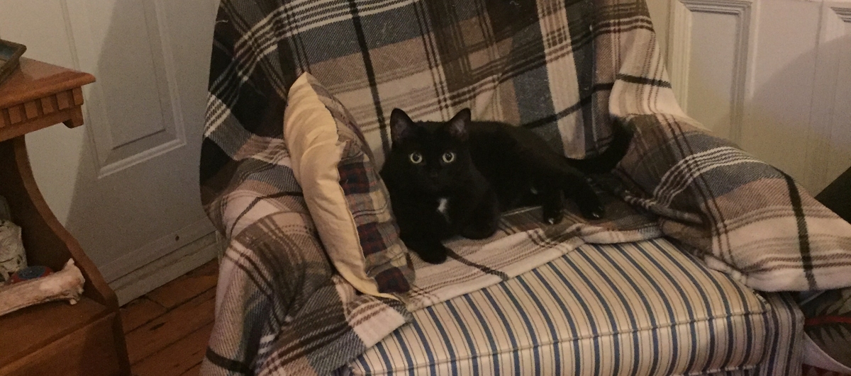 Losing Luna (Hopefully Temporarily)