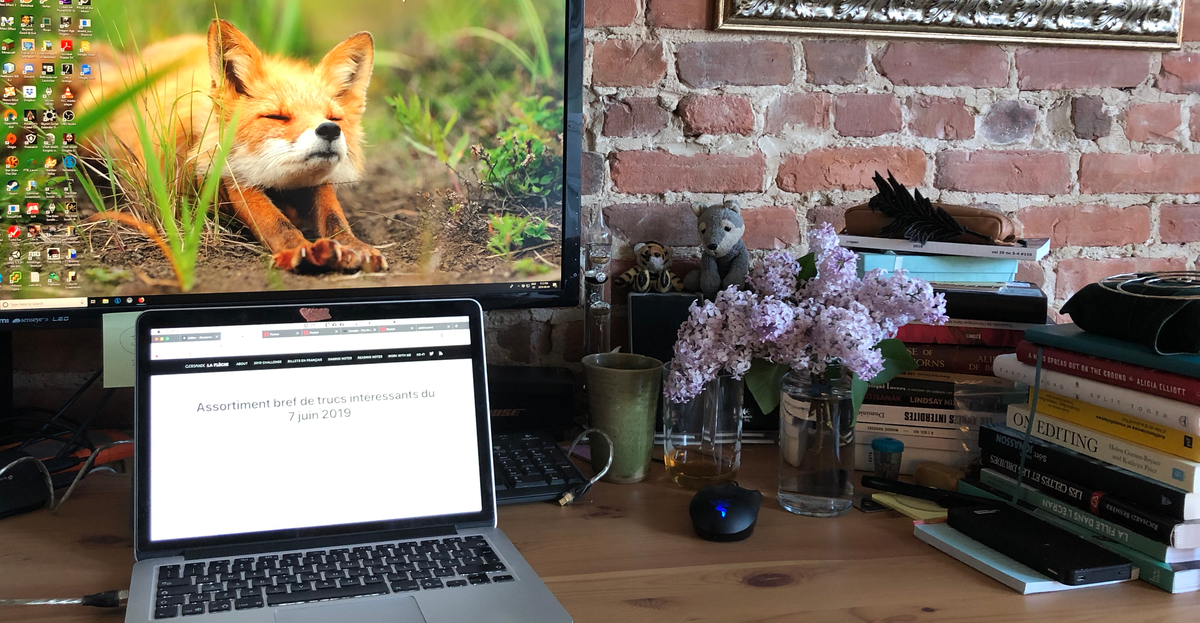 Brief round-up of interesting things for the 7th of June 2019