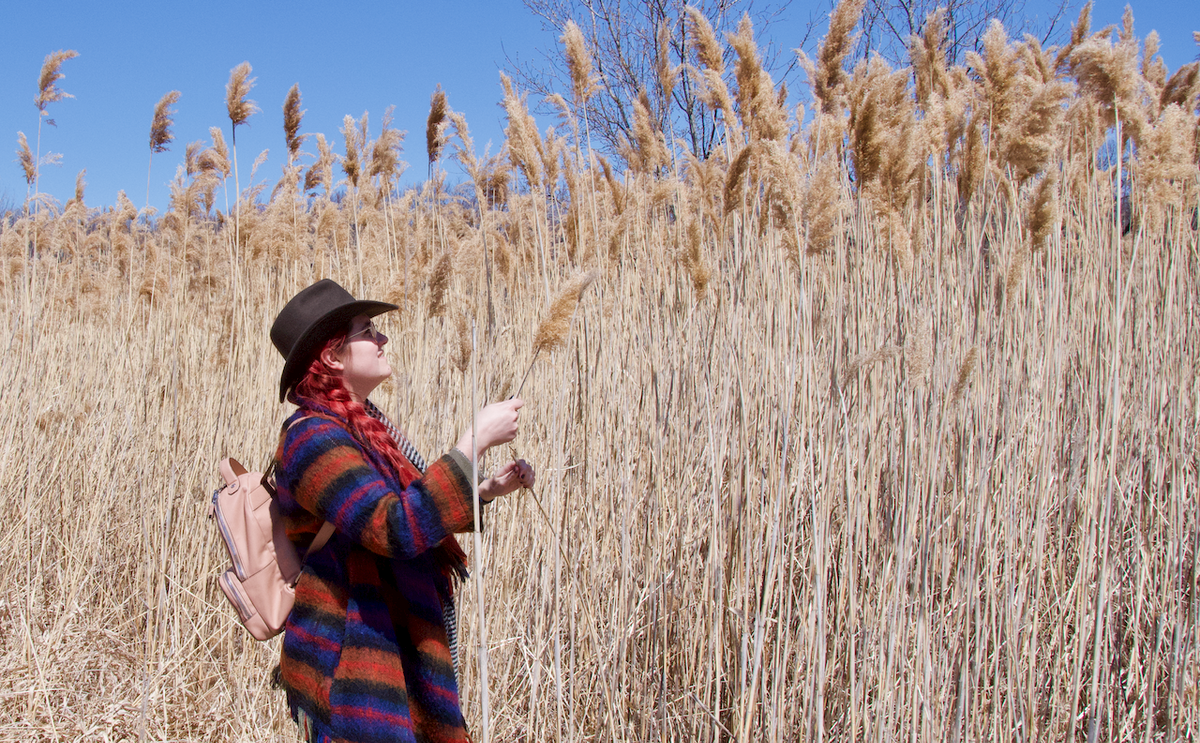 And another first of May