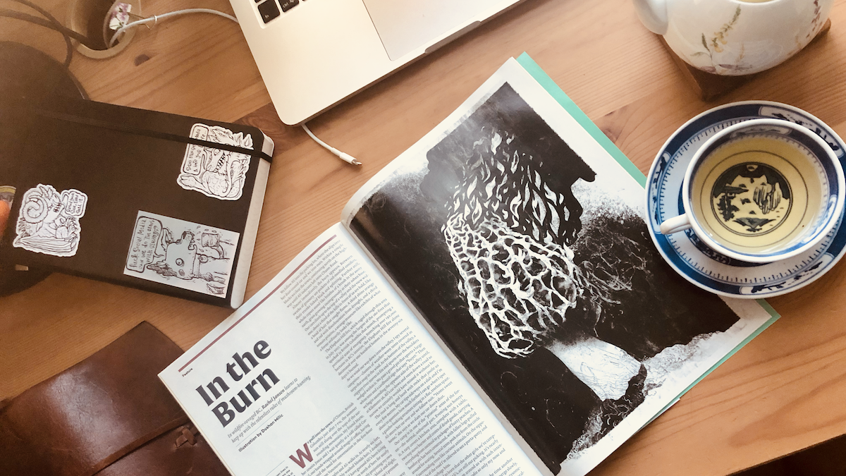 Boire du thé et lire des livres 2019.08.12