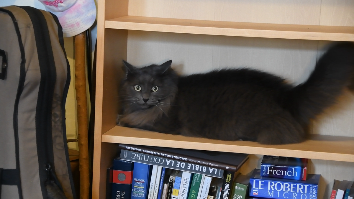 Let's Organize ALL The Books!