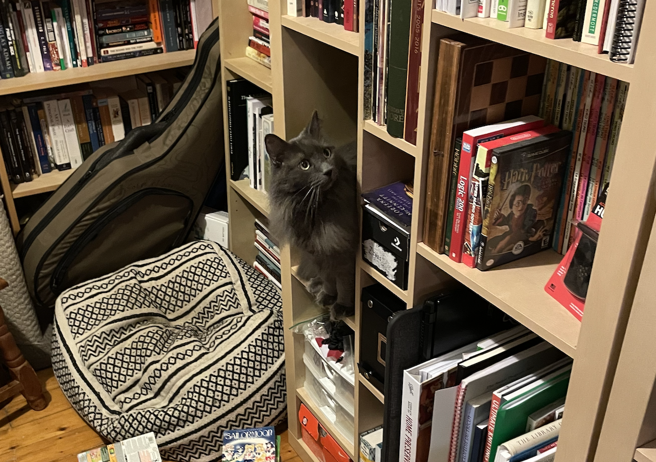 November Writing Progress Update and Wrapping Up NaNoWriMo