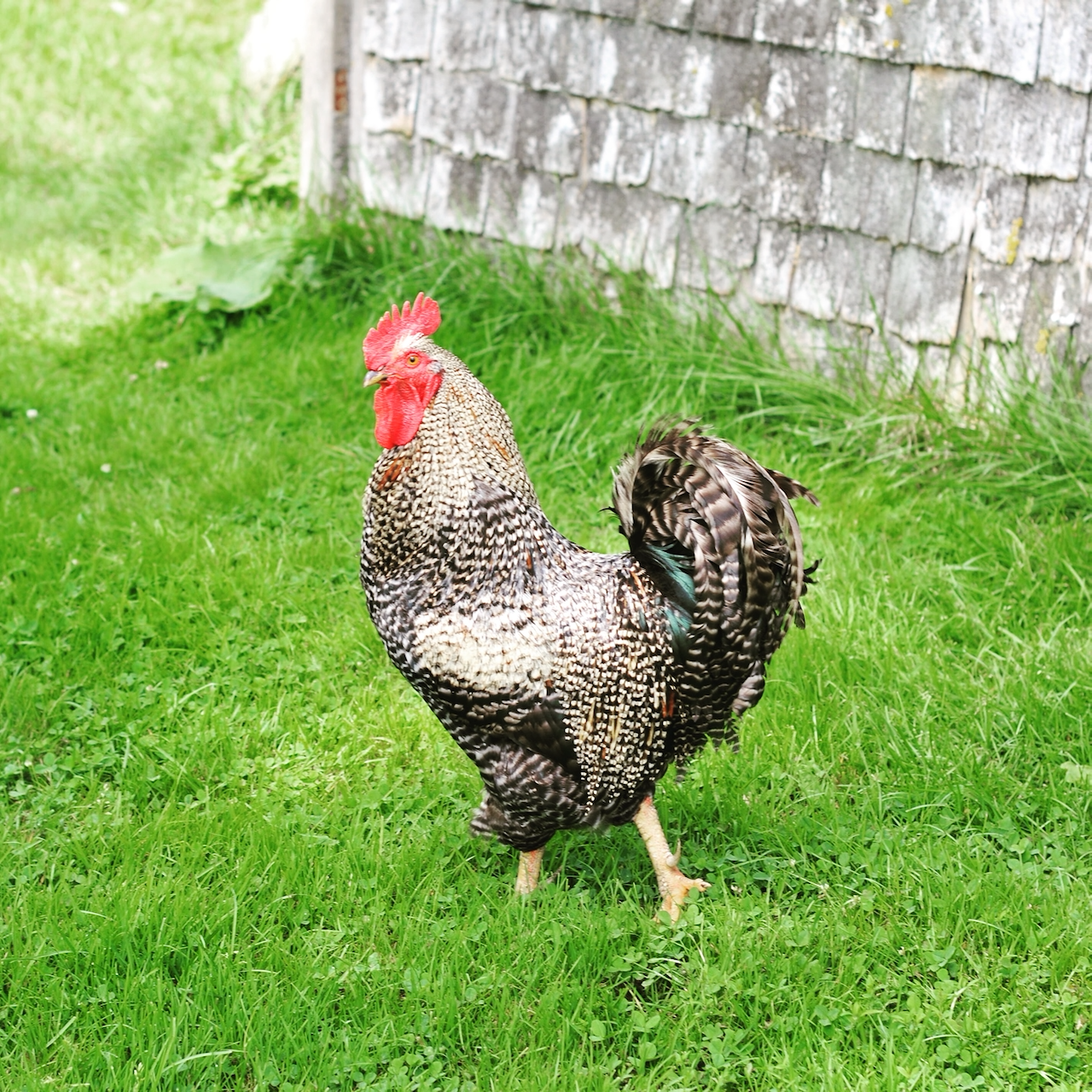 For My Patrons 🔒 : An excerpt of a memory