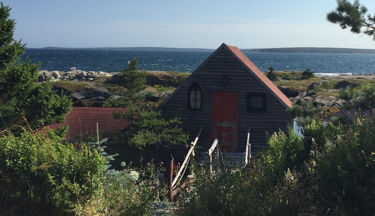 For My Patrons 🔒: Hurricane Lessons (First Draft)