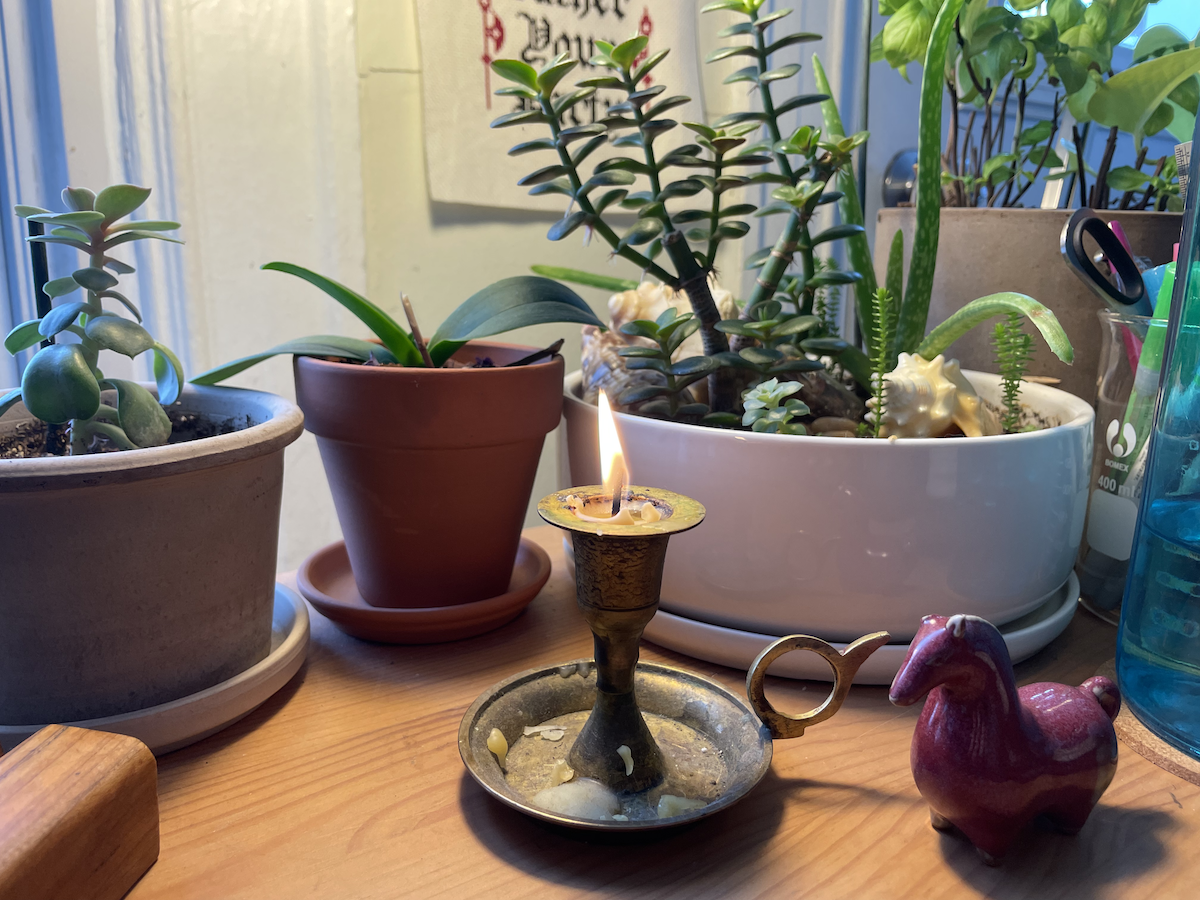 Ma pratique professionnelle est en pause