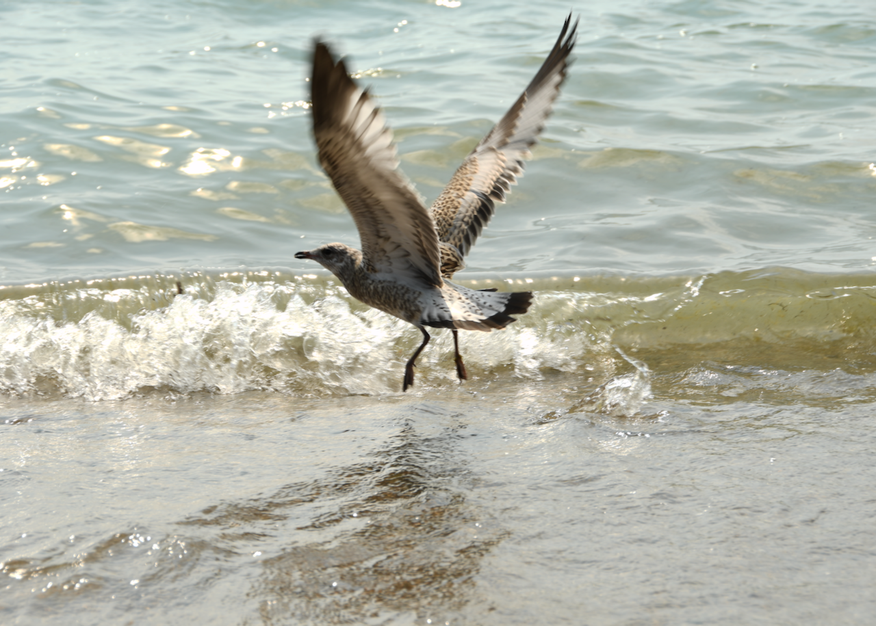 Photos from my journey to Lake Huron