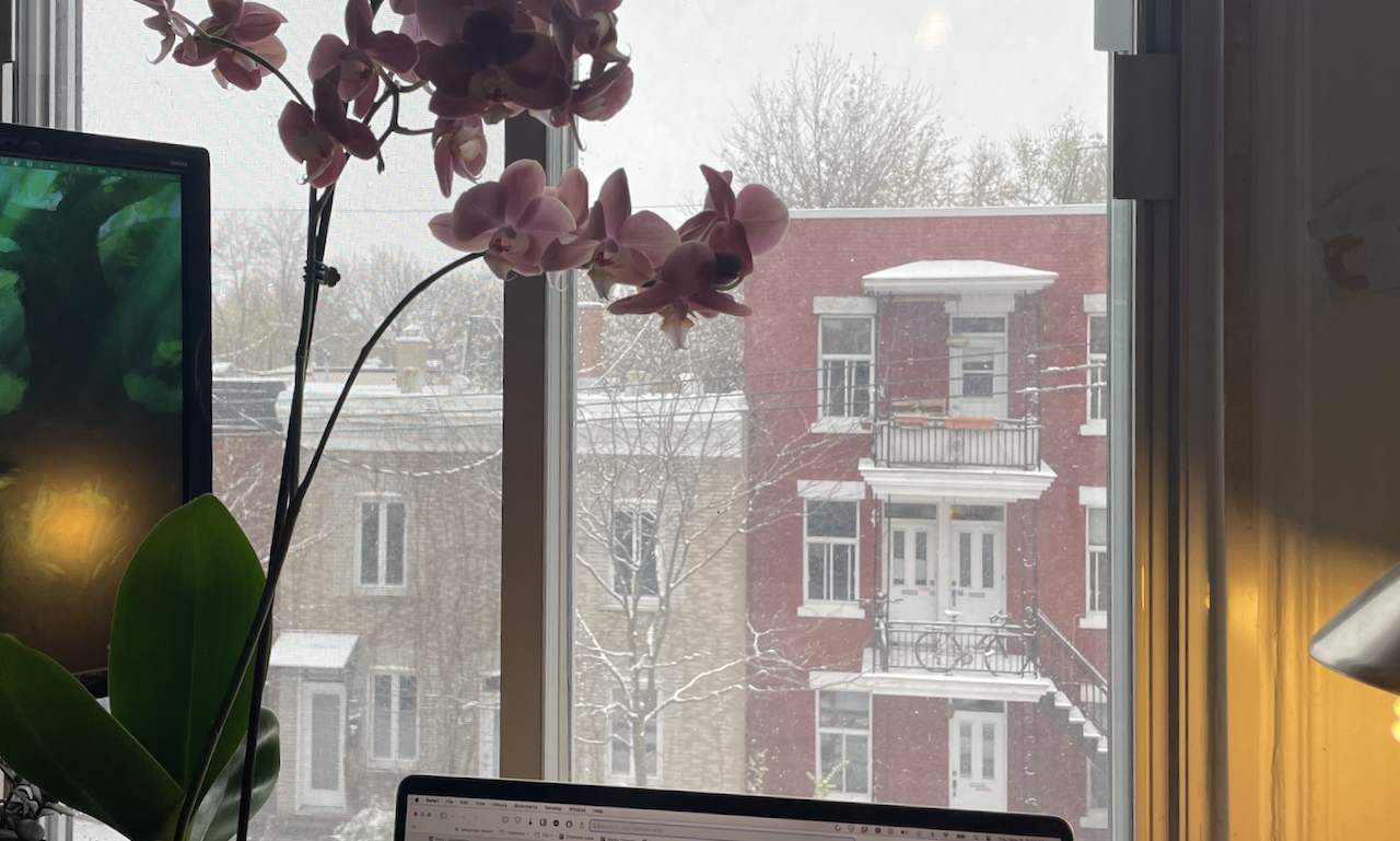 The second week of NaNoWriMo 2023