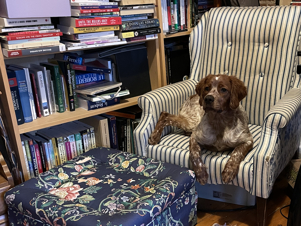 2023 in a handful of books