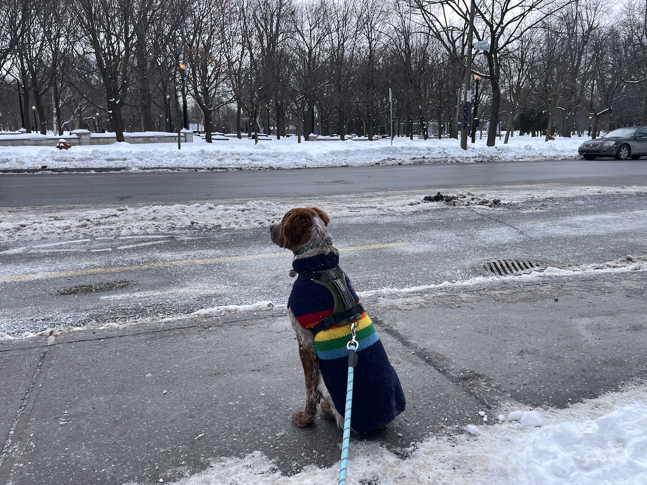 Notes d'un janvier '24 verglaçant