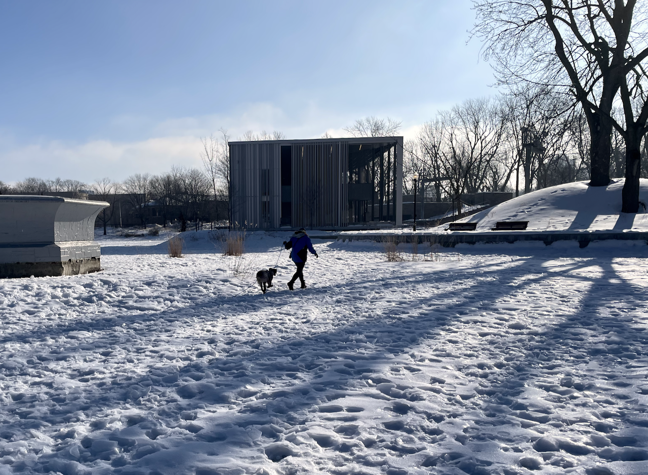 Weeknote: une semaine remplie de biologie et d'éducation canine
