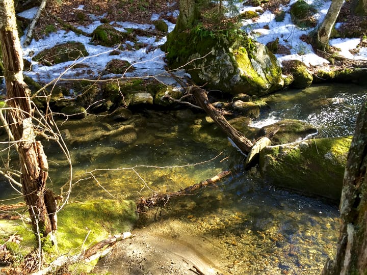 A brief history of pain