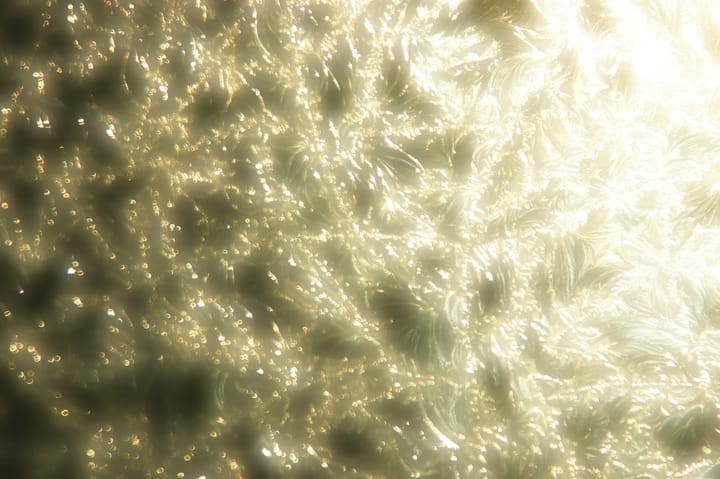 Down The Trademark Rabbit Hole