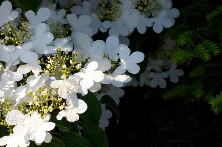 Pourquoi je ne pratique pas la méditation