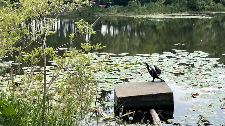 August Update and Pride Thoughts