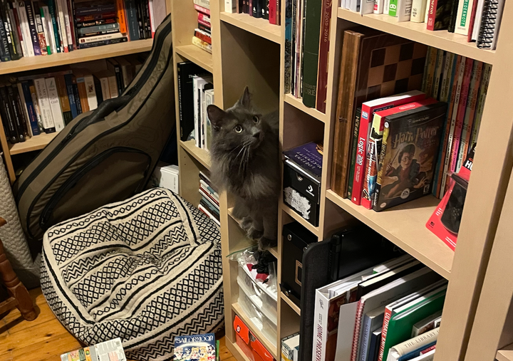 Bilan de mes activités d'écriture et de NaNoWriMo pour novembre '21