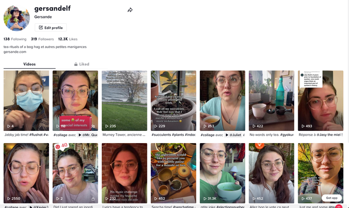 Une capture d'écran de mon profil TikTok, comme vu dans un navigateur web.