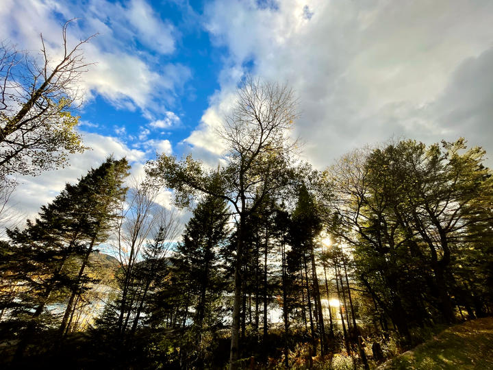 Memories from the '23 Ballet Hop! Retreat