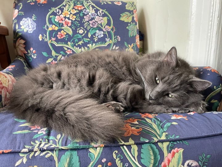 Quelques abandons de 2023