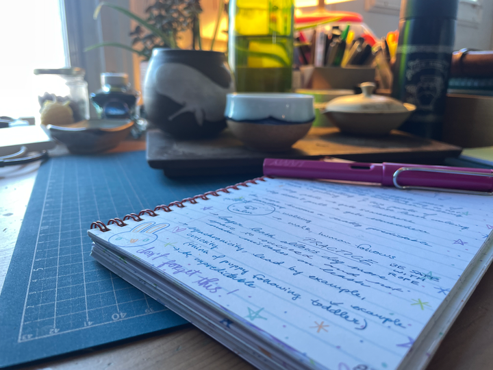 Retour sur le cours « Happy Leash »