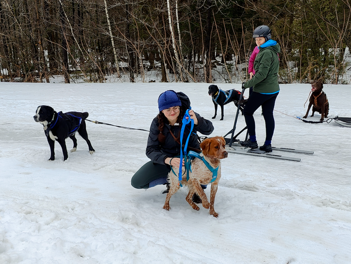 Weeknote: my first fun run with Pippin